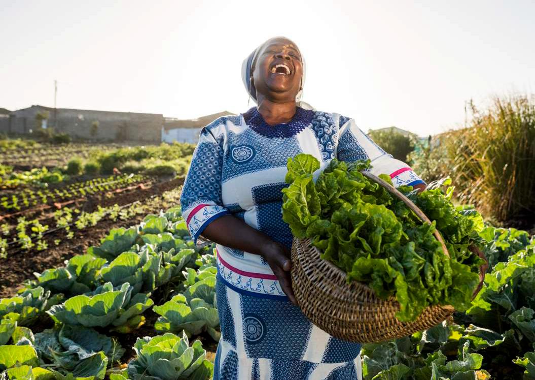 Agri enterprise Africa