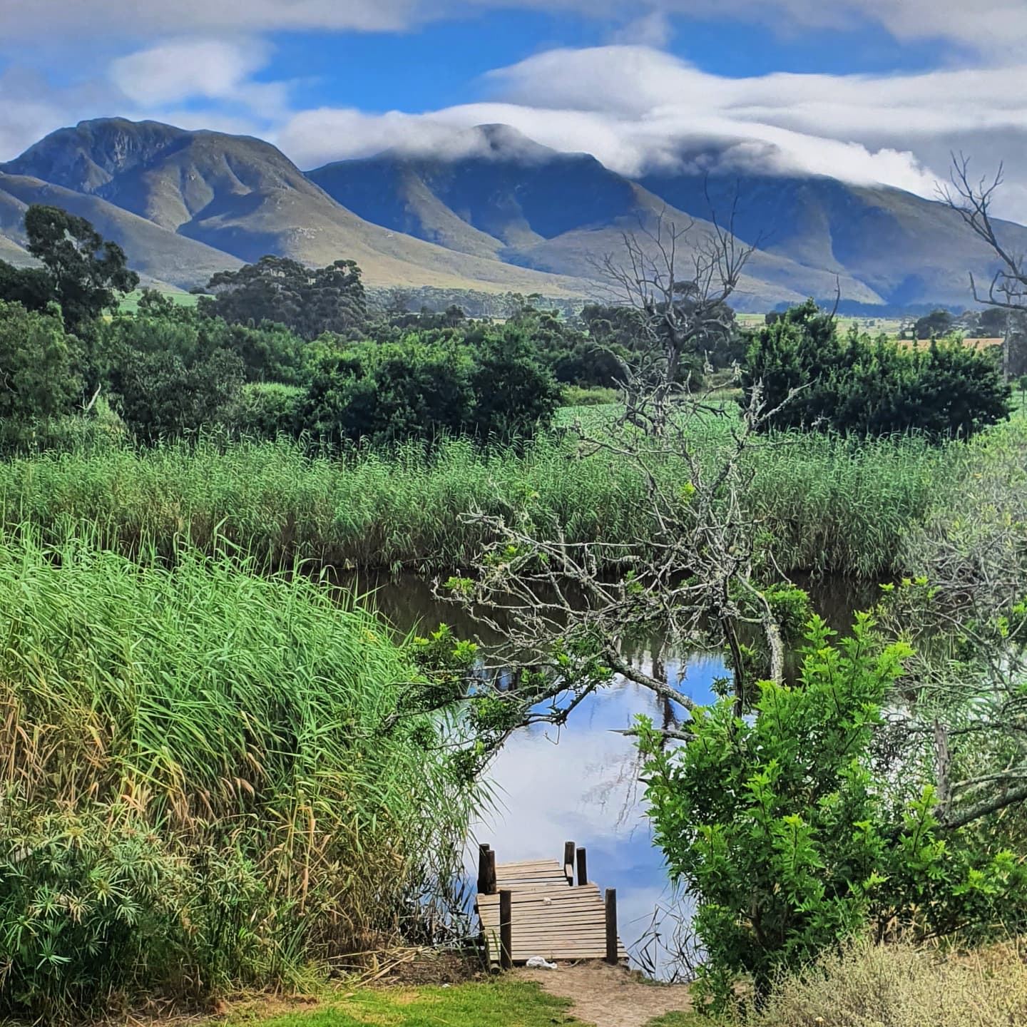 Environment and regenerative landscape Africa